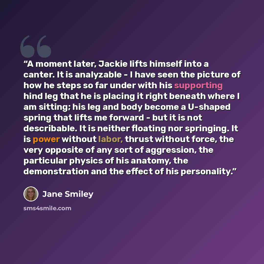 “A moment later, Jackie lifts himself into a canter. It is analyzable - I have seen the picture of how he steps so far under with his supporting hind leg that he is placing it right beneath where I am sitting; his leg and body become a U-shaped spring that lifts me forward - but it is not…” quote by Jane Smiley