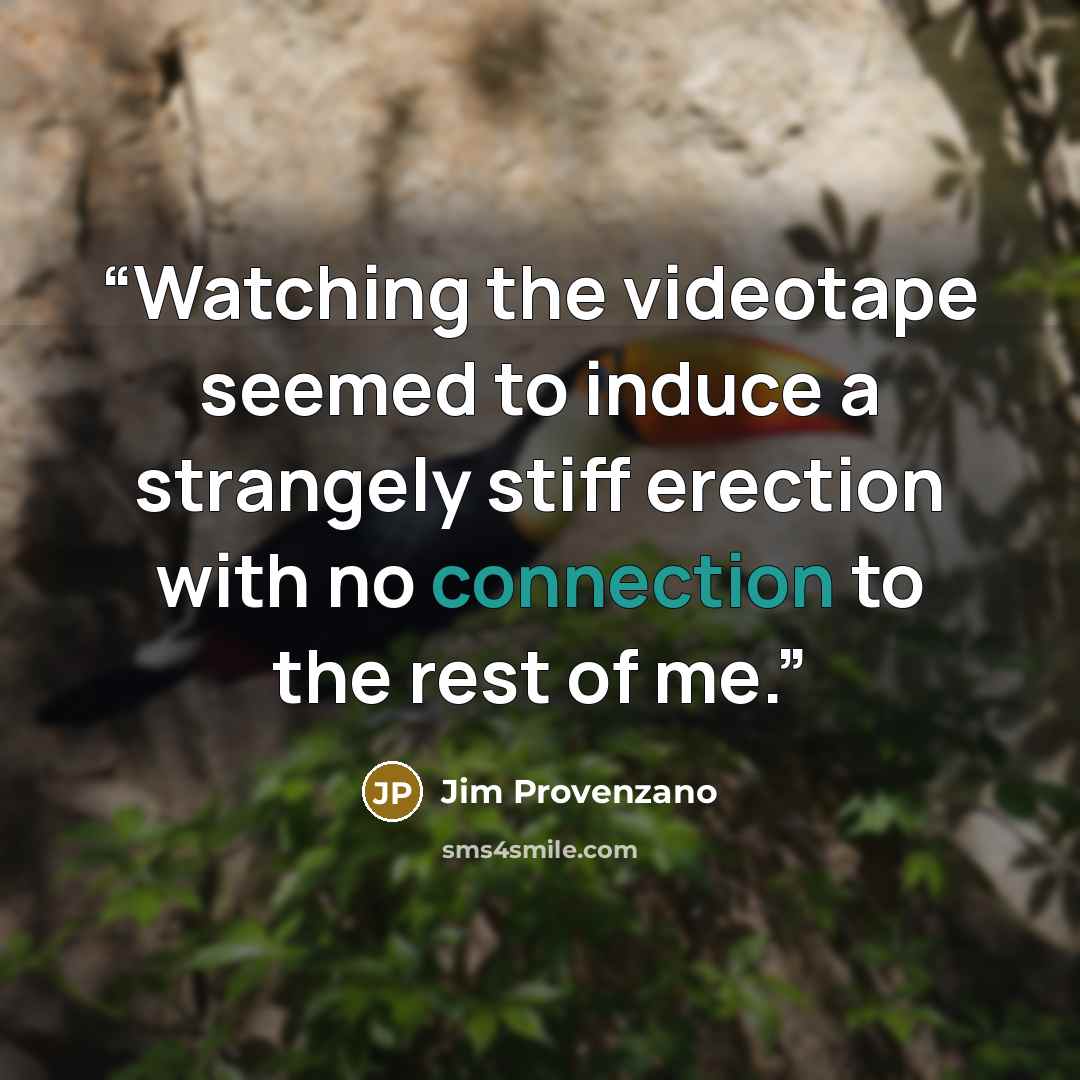 “Watching the videotape seemed to induce a strangely stiff erection with no connection to the rest of me.” quote by Jim Provenzano