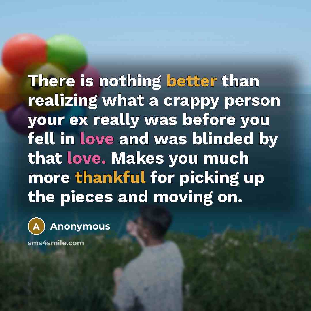 “There is nothing better than realizing what a crappy person your ex really was before you fell in love and was blinded by that love. Makes you much more thankful for picking up the pieces and moving on.” quote by Anonymous