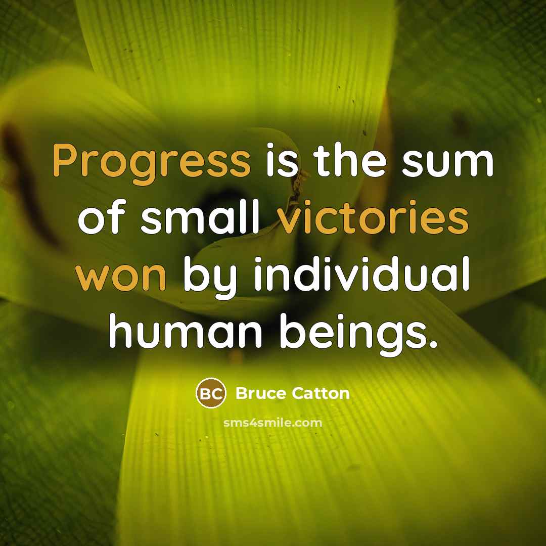 “Progress is the sum of small victories won by individual human beings.” quote by Bruce Catton