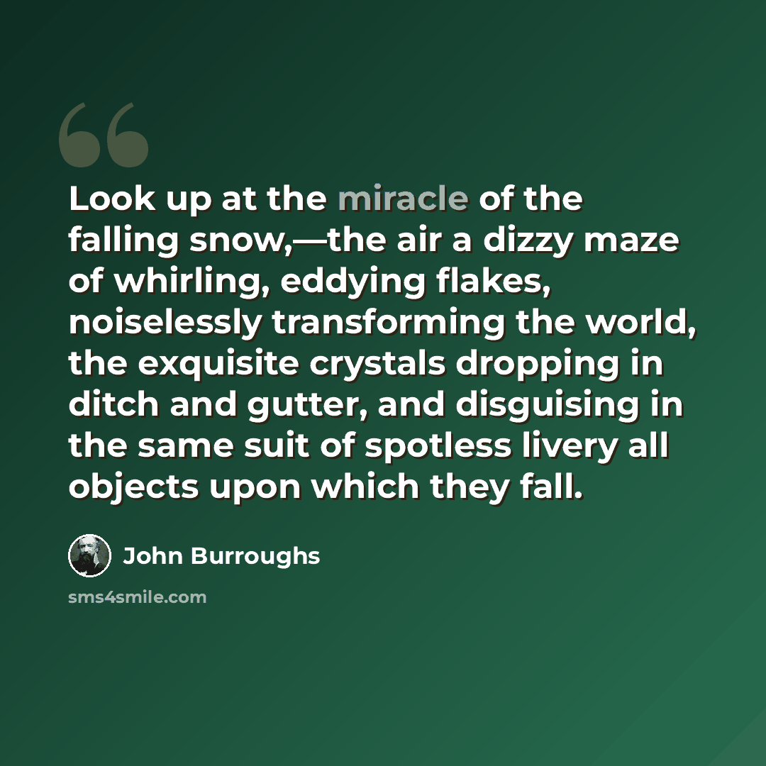 “Look up at the miracle of the falling snow,—the air a dizzy maze of whirling, eddying flakes, noiselessly transforming the world, the exquisite crystals dropping in ditch and gutter, and disguising in the same suit of spotless livery all objects upon which they fall.” quote by John Burroughs