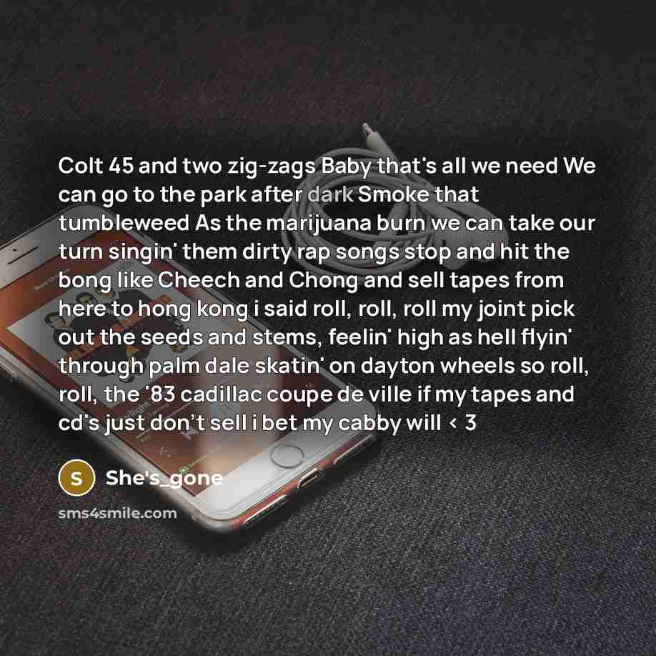 “Colt 45 and two zig-zags Baby that's all we need We can go to the park after dark Smoke that tumbleweed As the marijuana burn we can take our turn singin' them dirty rap songs stop and hit the bong like Cheech and Chong and sell tapes from here to hong kong i said roll, roll, roll my joint pick…” quote by She's_gone