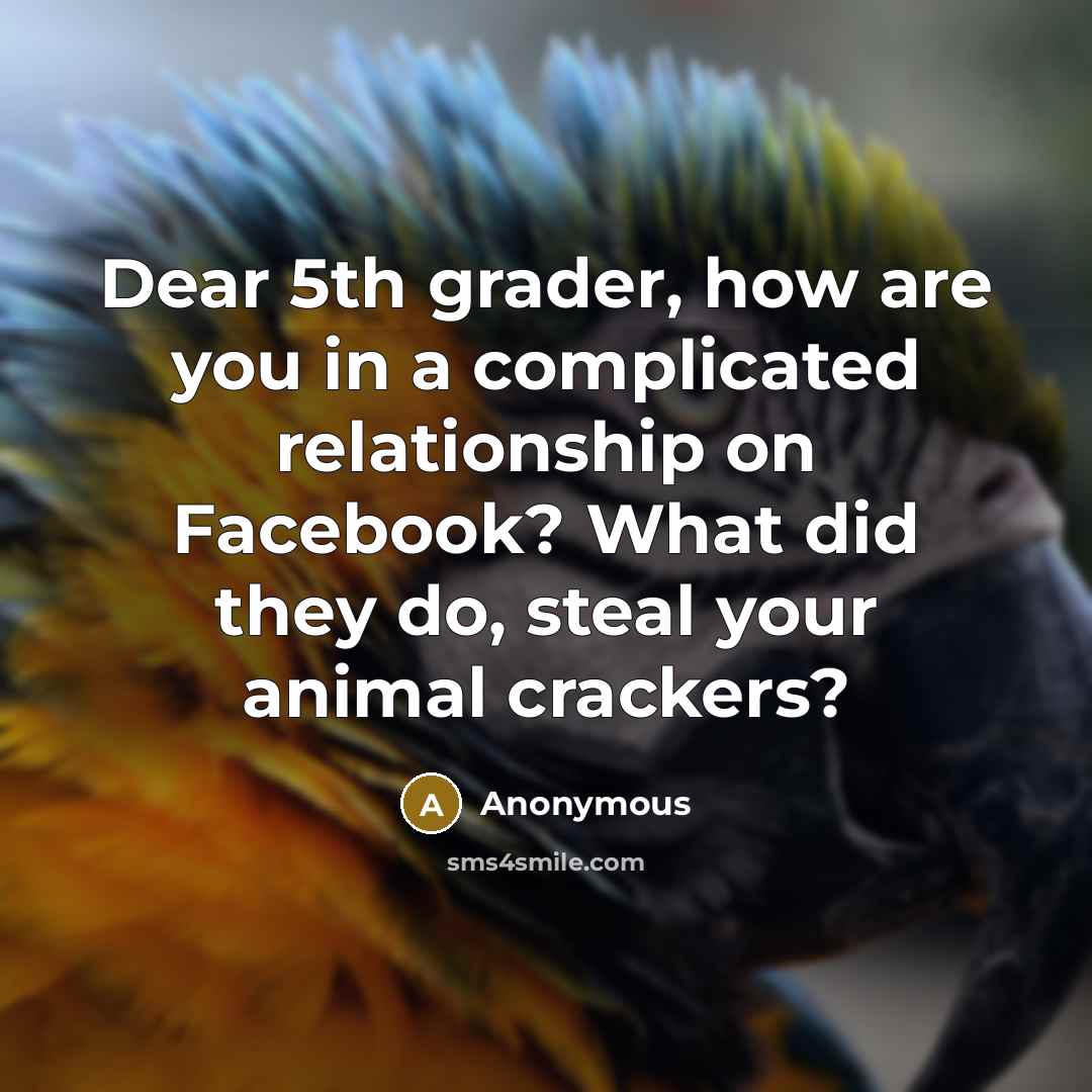 “Dear 5th grader, how are you in a complicated relationship on Facebook? What did they do, steal your animal crackers?” quote by Anonymous