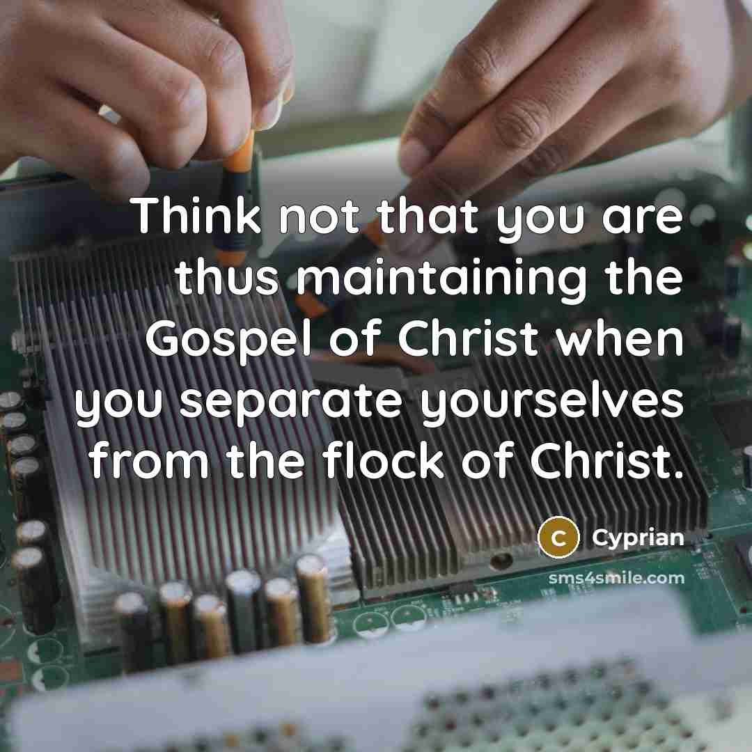 “Think not that you are thus maintaining the Gospel of Christ when you separate yourselves from the flock of Christ.” quote by Cyprian
