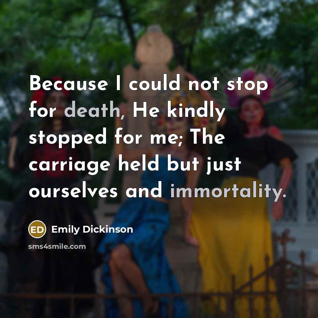 “Because I could not stop for death, He kindly stopped for me; The carriage held but just ourselves and immortality.” quote by Emily Dickinson