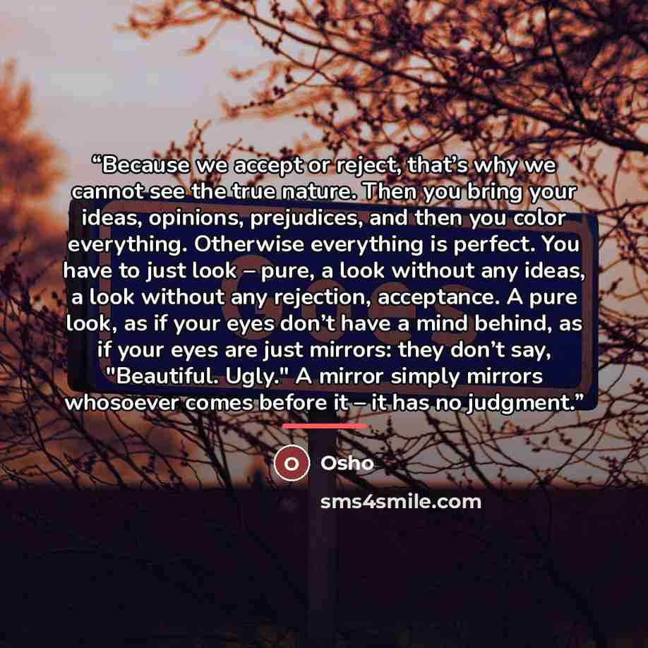 “Because we accept or reject, that’s why we cannot see the true nature. Then you bring your ideas, opinions, prejudices, and then you color everything. Otherwise everything is perfect. You have to just look – pure, a look without any ideas, a look without any rejection, acceptance. A pure look, as…” quote by Osho