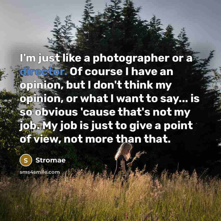 “I'm just like a photographer or a director. Of course I have an opinion, but I don't think my opinion, or what I want to say... is so obvious 'cause that's not my job. My job is just to give a point of view, not more than that.” quote by Stromae