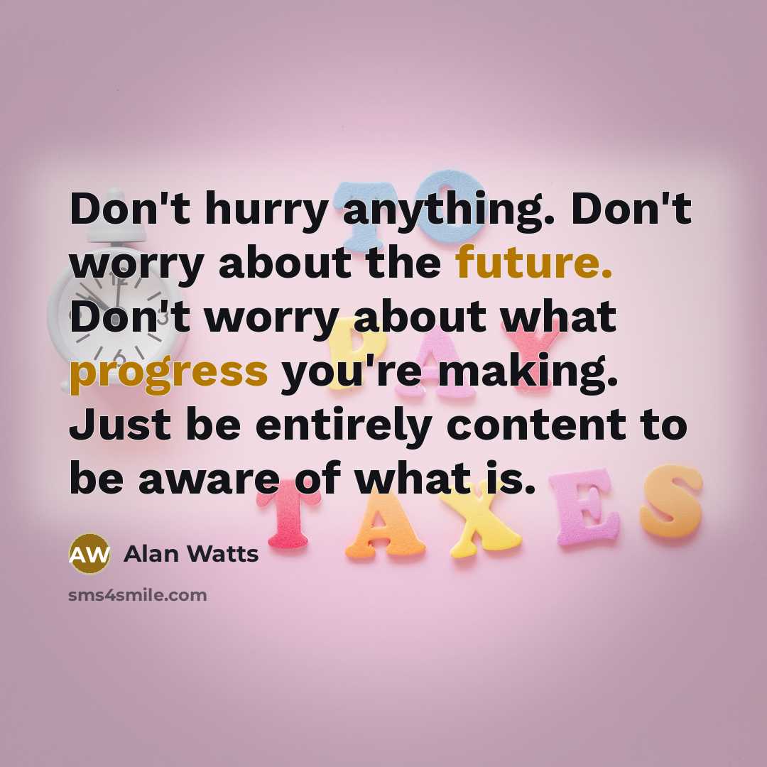 “Don't hurry anything. Don't worry about the future. Don't worry about what progress you're making. Just be entirely content to be aware of what is.” quote by Alan Watts