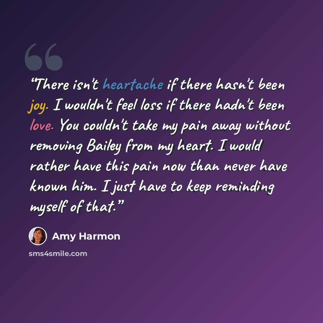 “There isn't heartache if there hasn't been joy. I wouldn't feel loss if there hadn't been love. You couldn't take my pain away without removing Bailey from my heart. I would rather have this pain now than never have known him. I just have to keep reminding myself of that.” quote by Amy Harmon