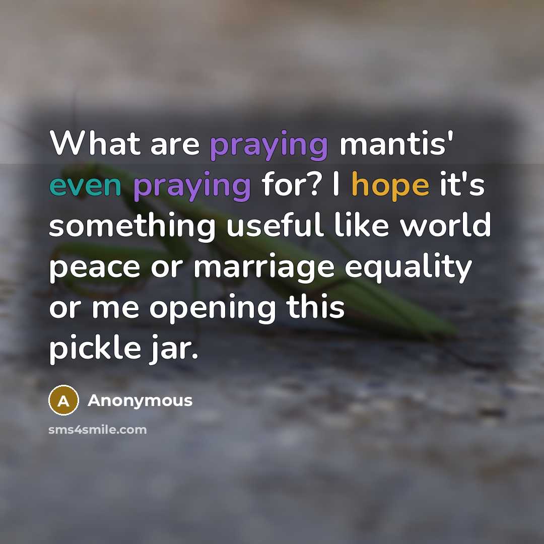 “What are praying mantis' even praying for? I hope it's something useful like world peace or marriage equality or me opening this pickle jar.” quote by Anonymous