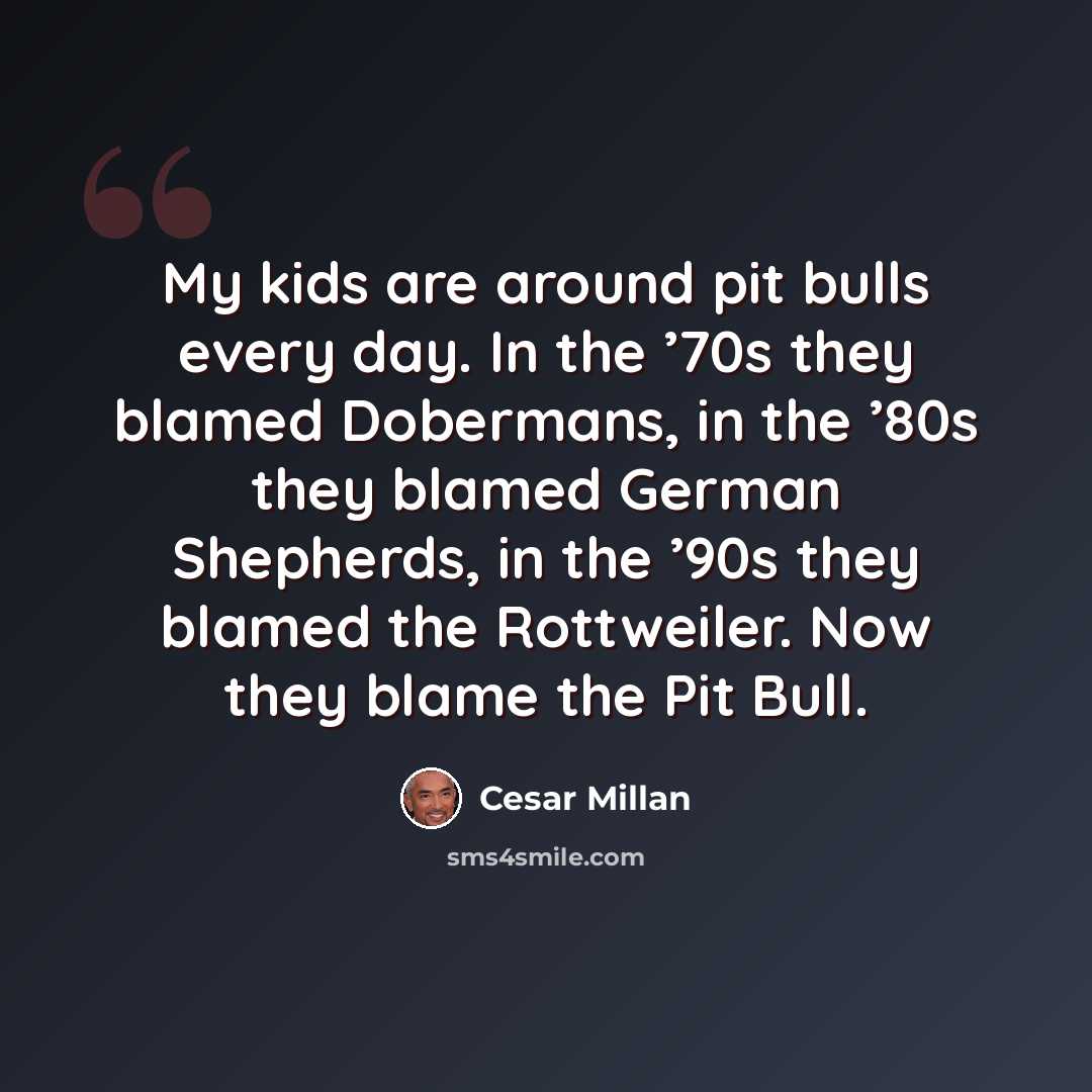 “My kids are around pit bulls every day. In the ’70s they blamed Dobermans, in the ’80s they blamed German Shepherds, in the ’90s they blamed the Rottweiler. Now they blame the Pit Bull.” quote by Cesar Millan