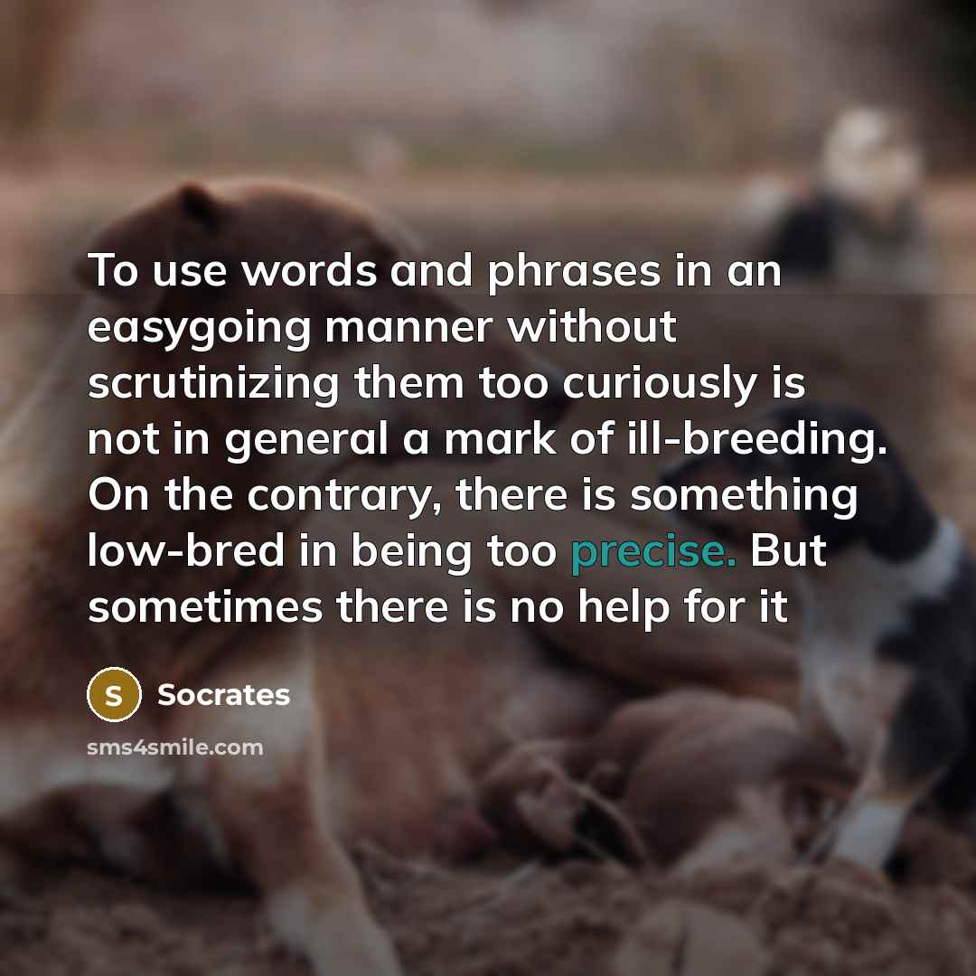 “To use words and phrases in an easygoing manner without scrutinizing them too curiously is not in general a mark of ill-breeding. On the contrary, there is something low-bred in being too precise. But sometimes there is no help for it” quote by Socrates