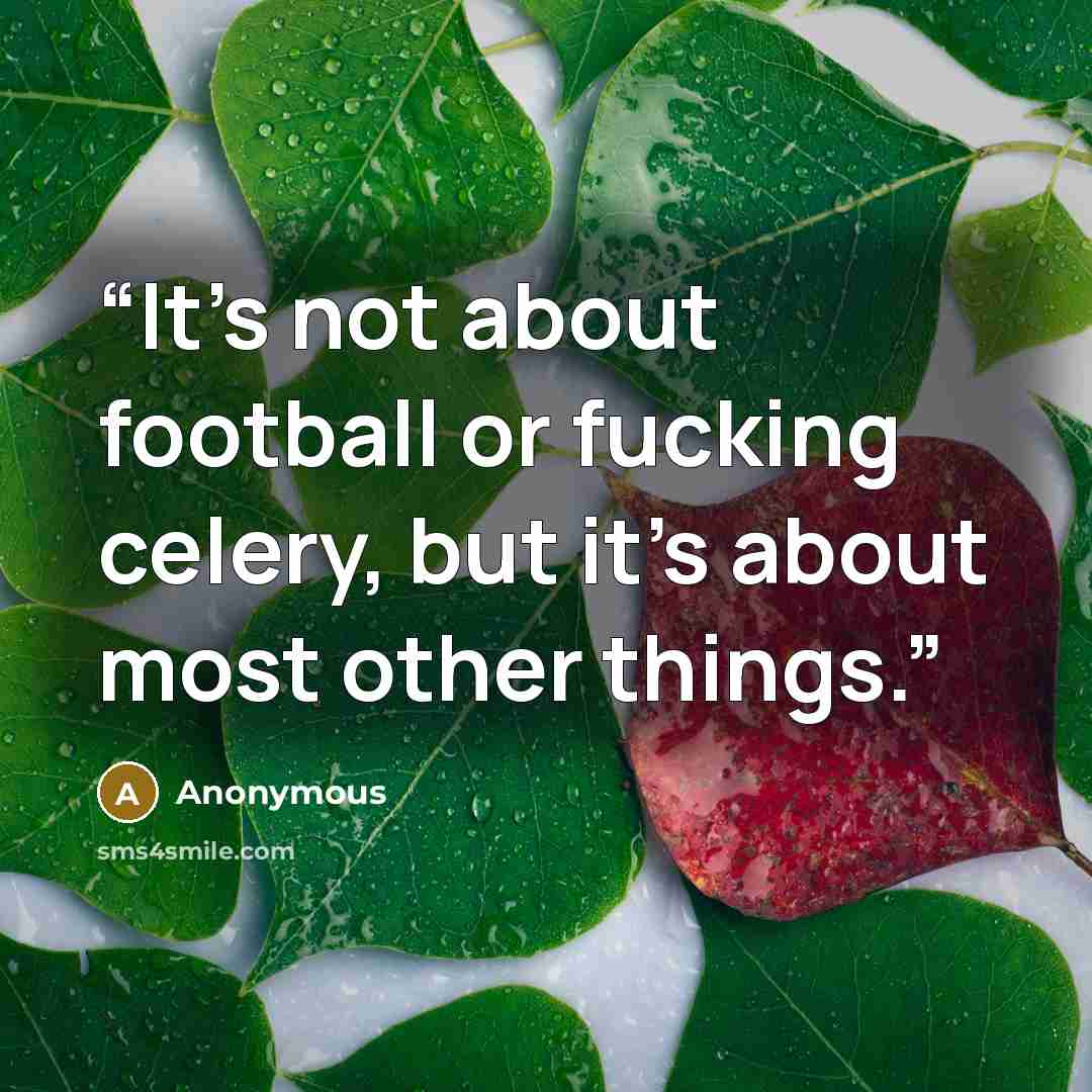 “It’s not about football or fucking celery, but it’s about most other things.” quote by Anonymous