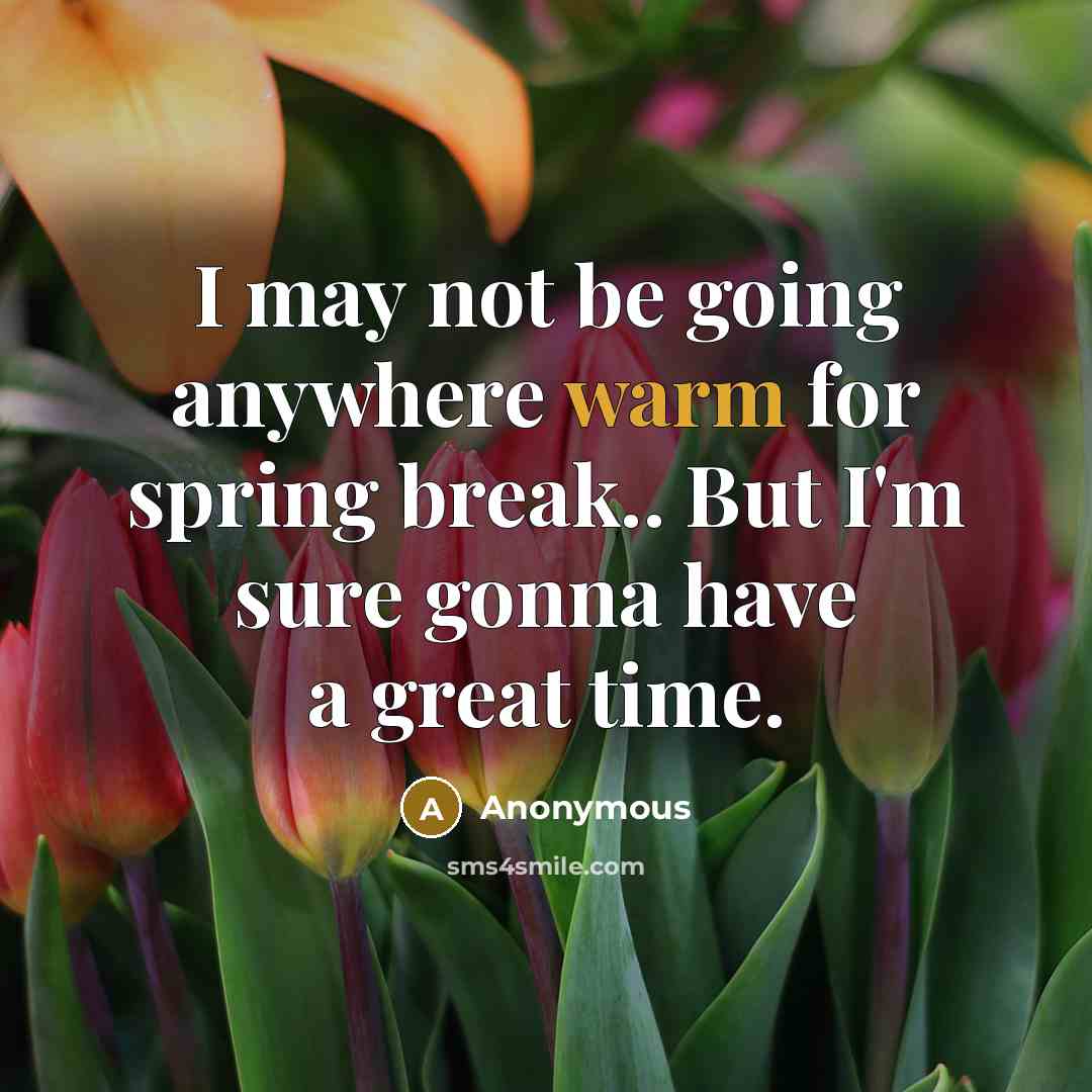 “I may not be going anywhere warm for spring break.. But I'm sure gonna have a great time.” quote by Anonymous