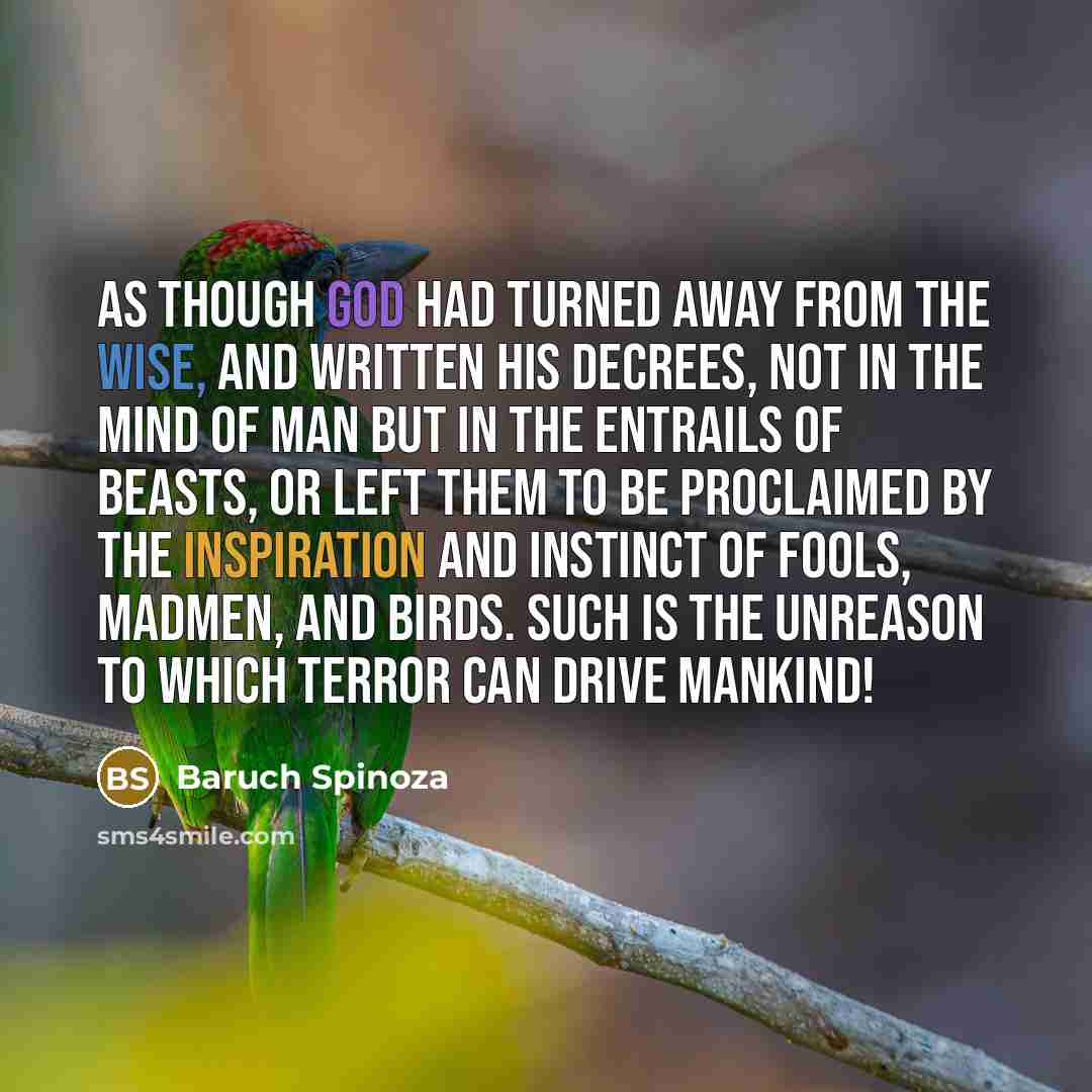 “As though God had turned away from the wise, and written his decrees, not in the mind of man but in the entrails of beasts, or left them to be proclaimed by the inspiration and instinct of fools, madmen, and birds. Such is the unreason to which terror can drive mankind!” quote by Baruch Spinoza