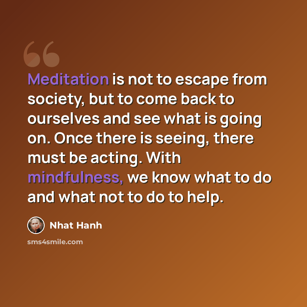 “Meditation is not to escape from society, but to come back to ourselves and see what is going on. Once there is seeing, there must be acting. With mindfulness, we know what to do and what not to do to help.” quote by Nhat Hanh