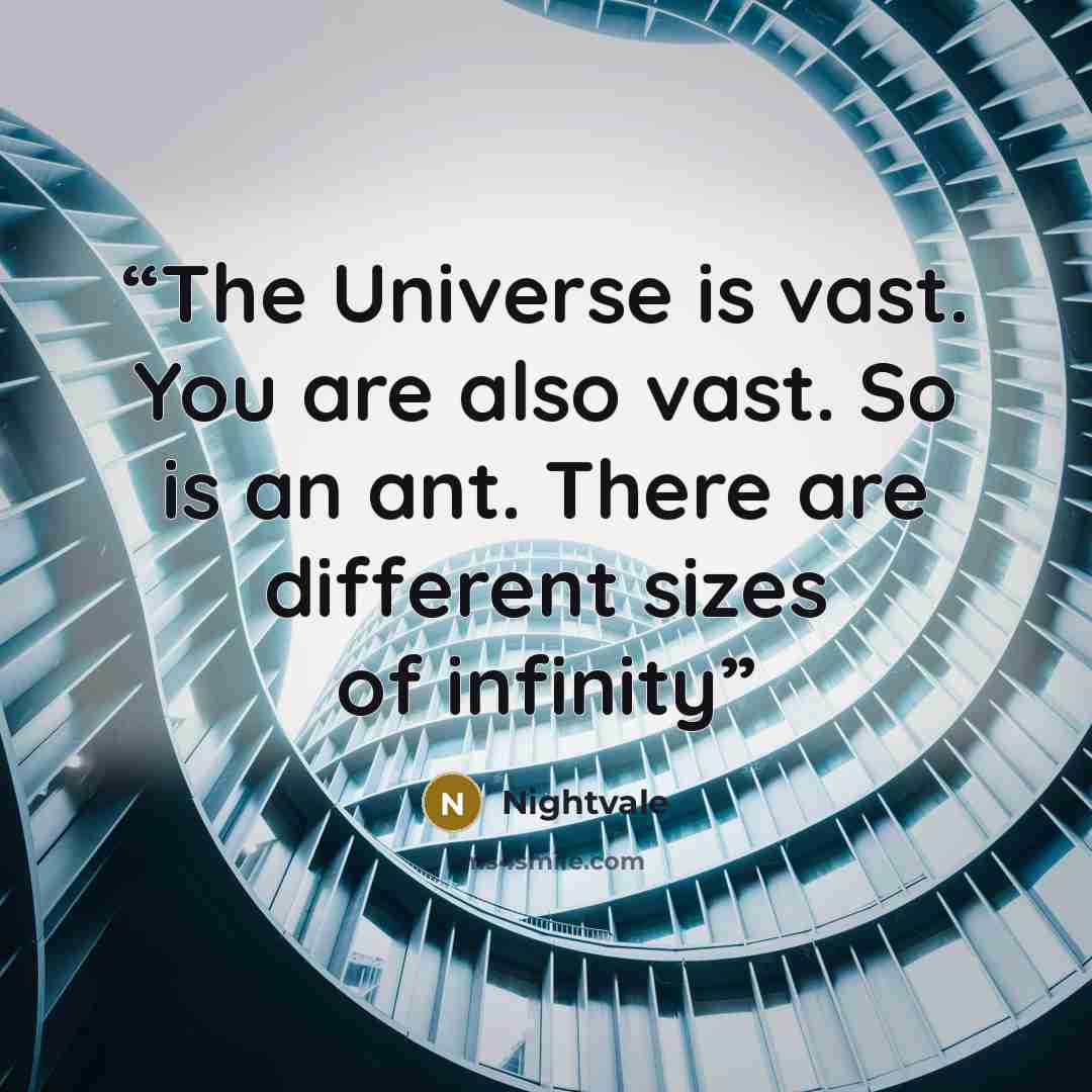 “The Universe is vast. You are also vast. So is an ant. There are different sizes of infinity” quote by Nightvale