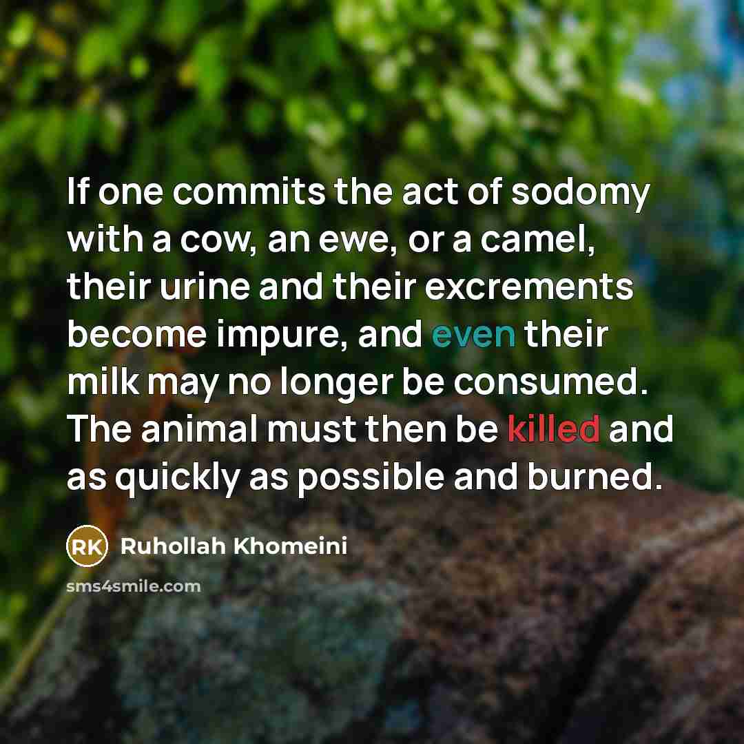 “If one commits the act of sodomy with a cow, an ewe, or a camel, their urine and their excrements become impure, and even their milk may no longer be consumed. The animal must then be killed and as quickly as possible and burned.” quote by Ruhollah Khomeini