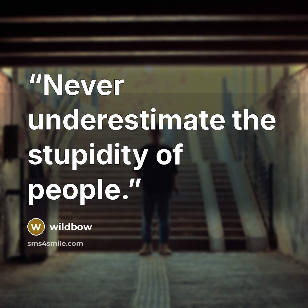 “Never underestimate the stupidity of people.” quote by wildbow