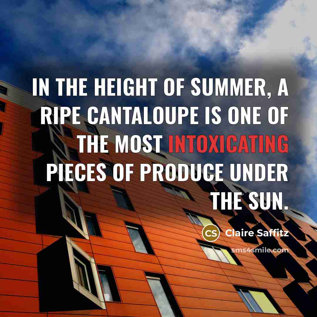 “In the height of summer, a ripe cantaloupe is one of the most intoxicating pieces of produce under the sun.” quote by Claire Saffitz
