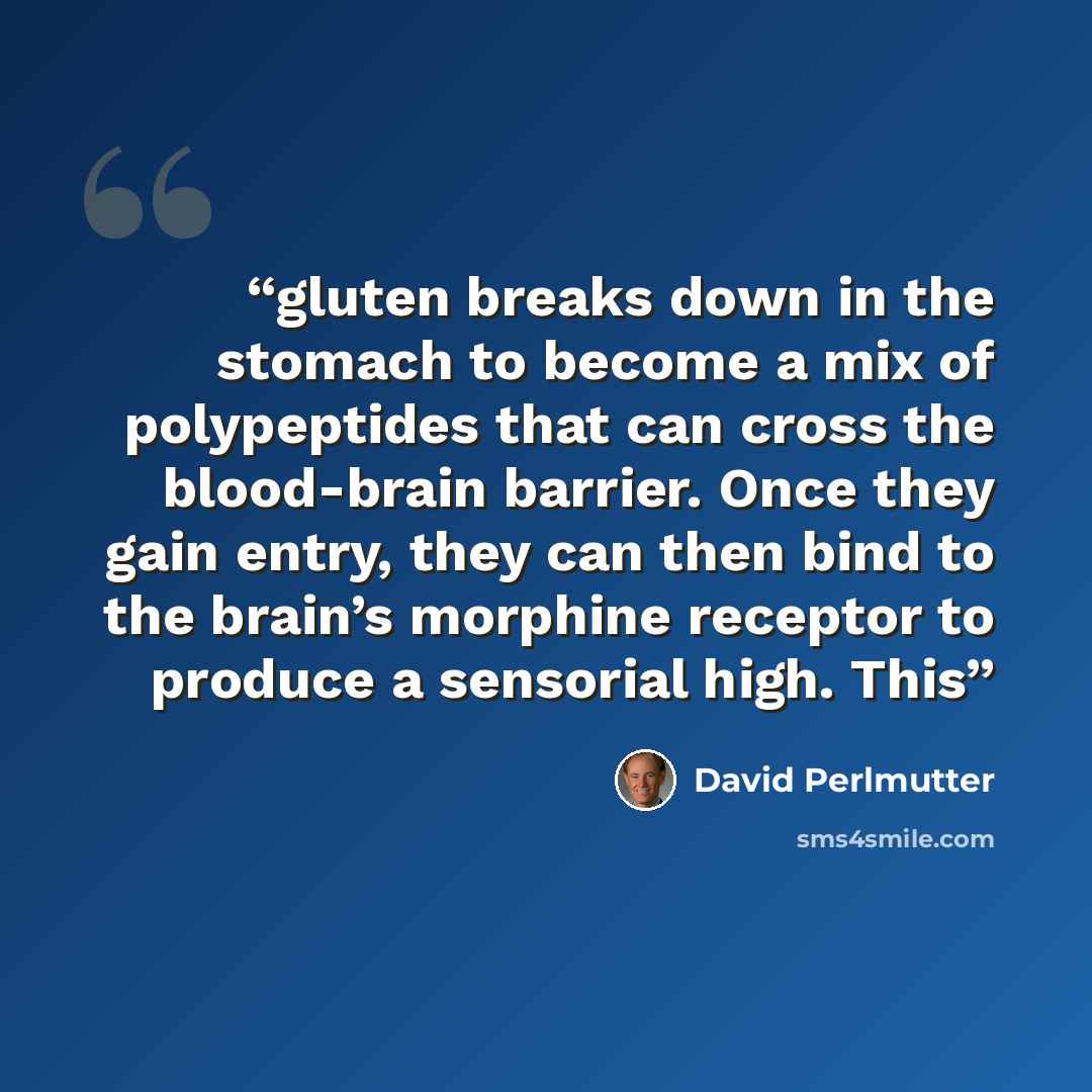 “gluten breaks down in the stomach to become a mix of polypeptides that can cross the blood-brain barrier. Once they gain entry, they can then bind to the brain’s morphine receptor to produce a sensorial high. This” quote by David Perlmutter