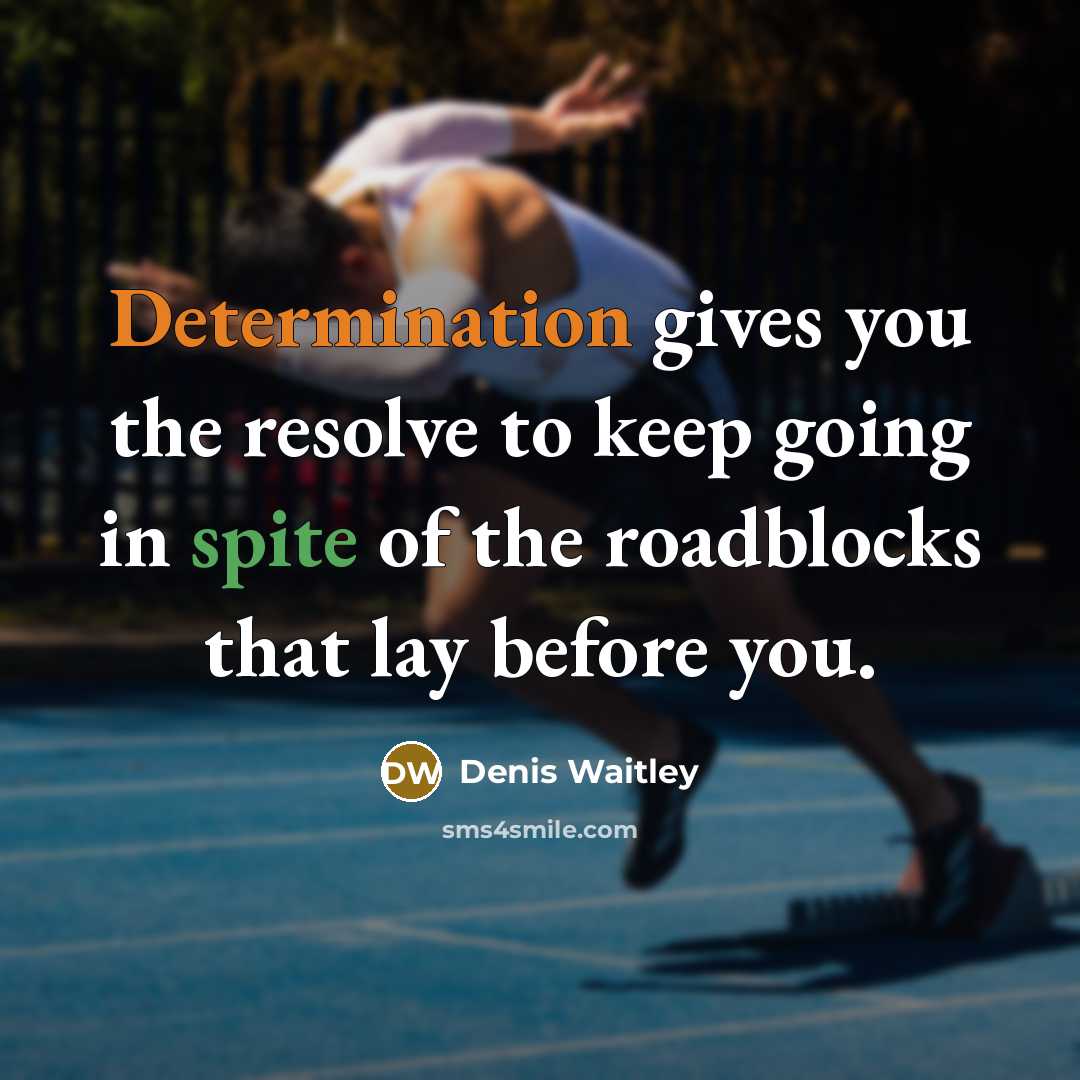 “Determination gives you the resolve to keep going in spite of the roadblocks that lay before you.” quote by Denis Waitley