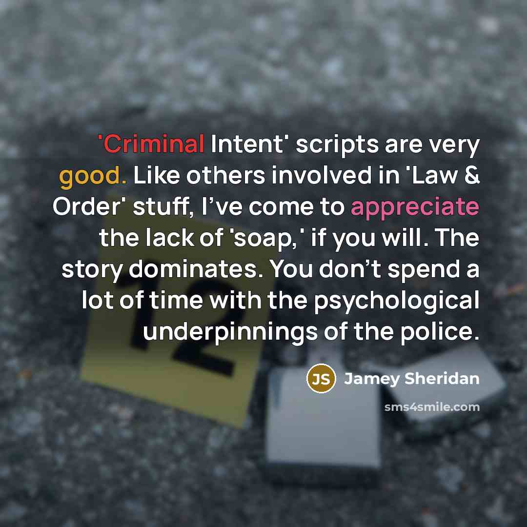 “'Criminal Intent' scripts are very good. Like others involved in 'Law & Order' stuff, I've come to appreciate the lack of 'soap,' if you will. The story dominates. You don't spend a lot of time with the psychological underpinnings of the police.” quote by Jamey Sheridan