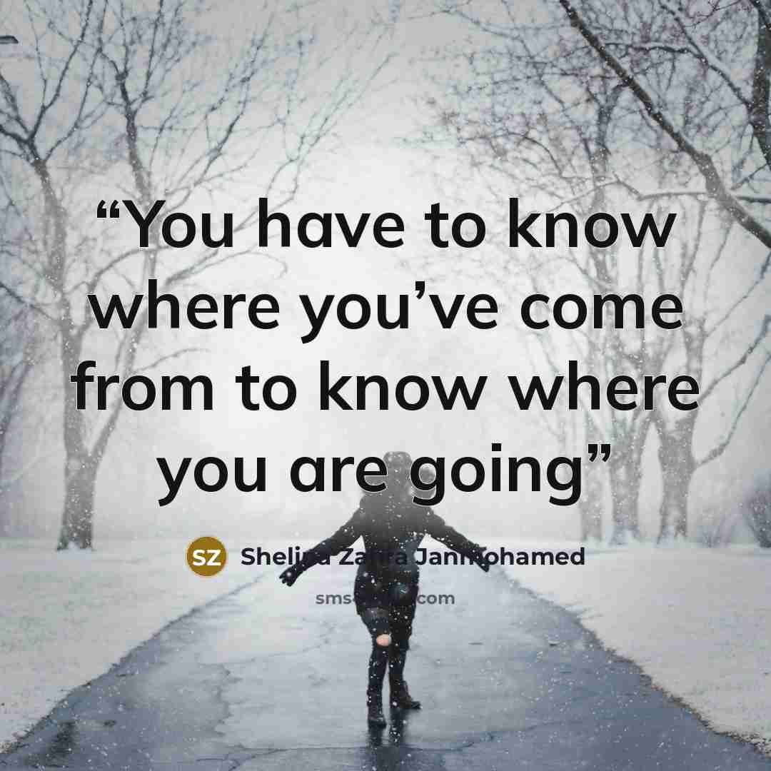 “You have to know where you’ve come from to know where you are going” quote by Shelina Zahra Janmohamed