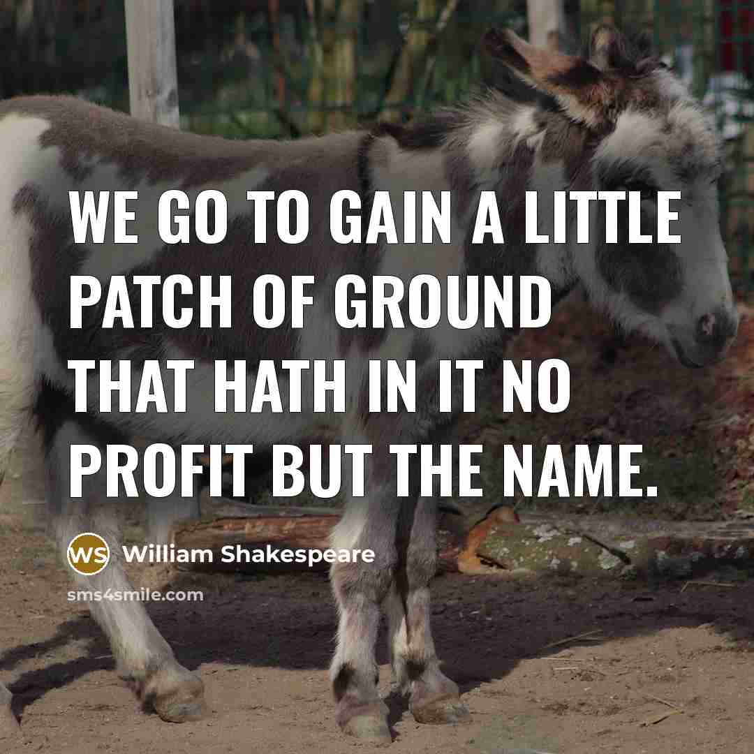 “We go to gain a little patch of ground that hath in it no profit but the name.” quote by William Shakespeare