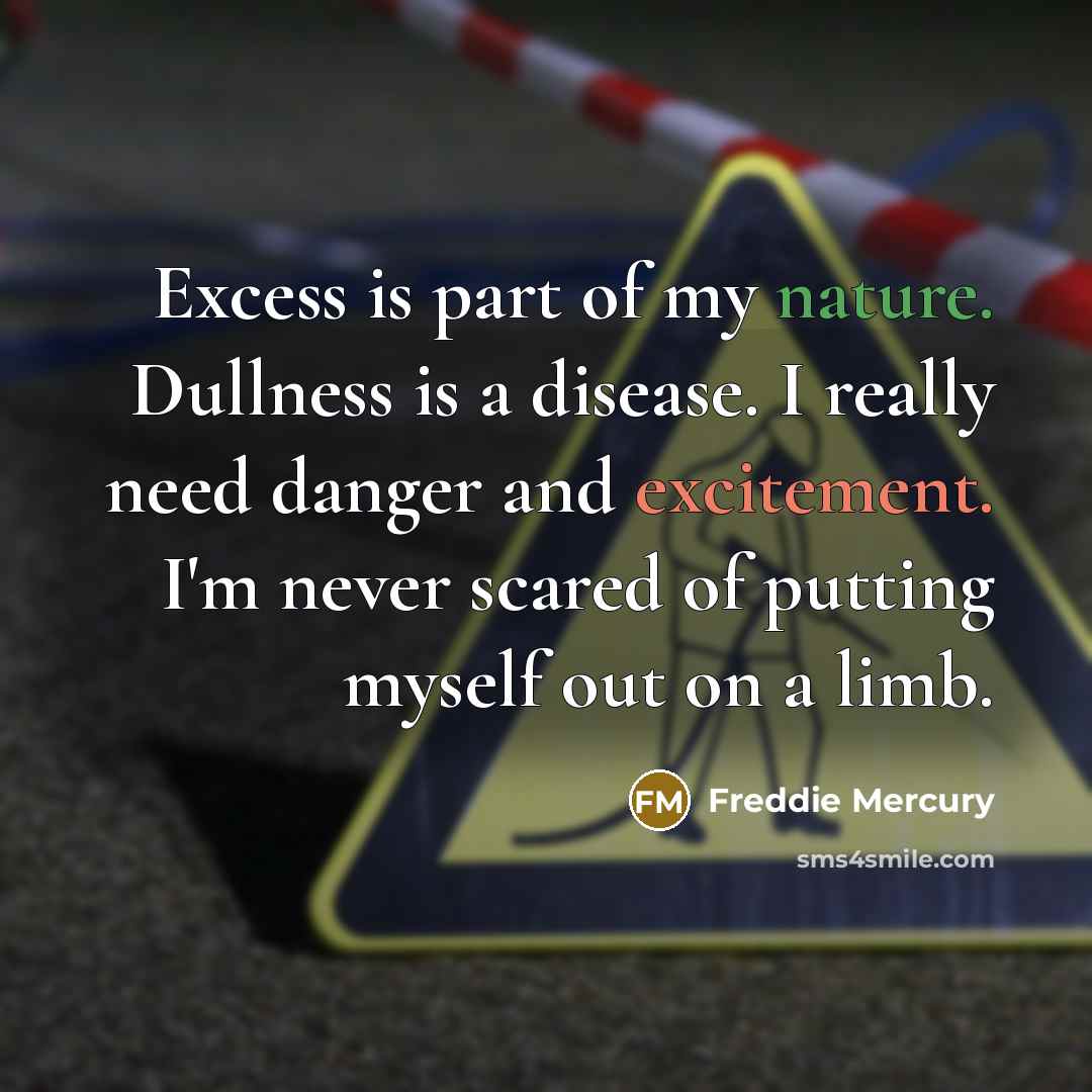 “Excess is part of my nature. Dullness is a disease. I really need danger and excitement. I'm never scared of putting myself out on a limb.” quote by Freddie Mercury