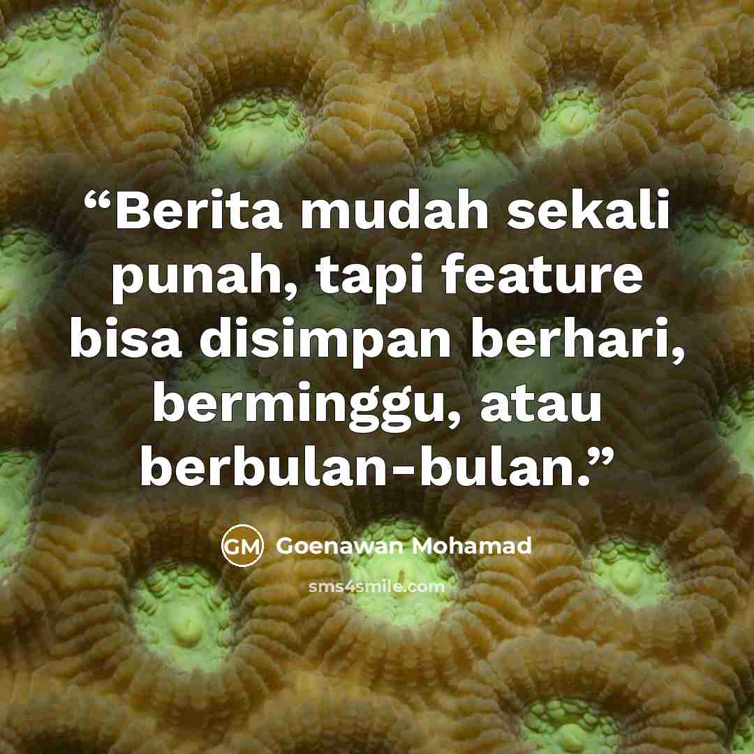 “Berita mudah sekali punah, tapi feature bisa disimpan berhari, berminggu, atau berbulan-bulan.” quote by Goenawan Mohamad