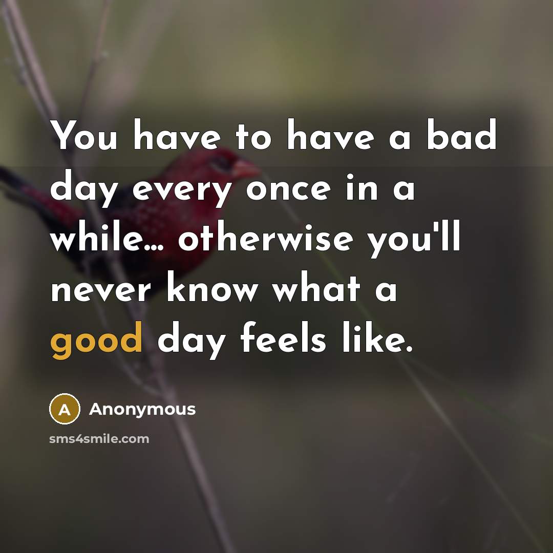“You have to have a bad day every once in a while... otherwise you'll never know what a good day feels like.” quote by Anonymous