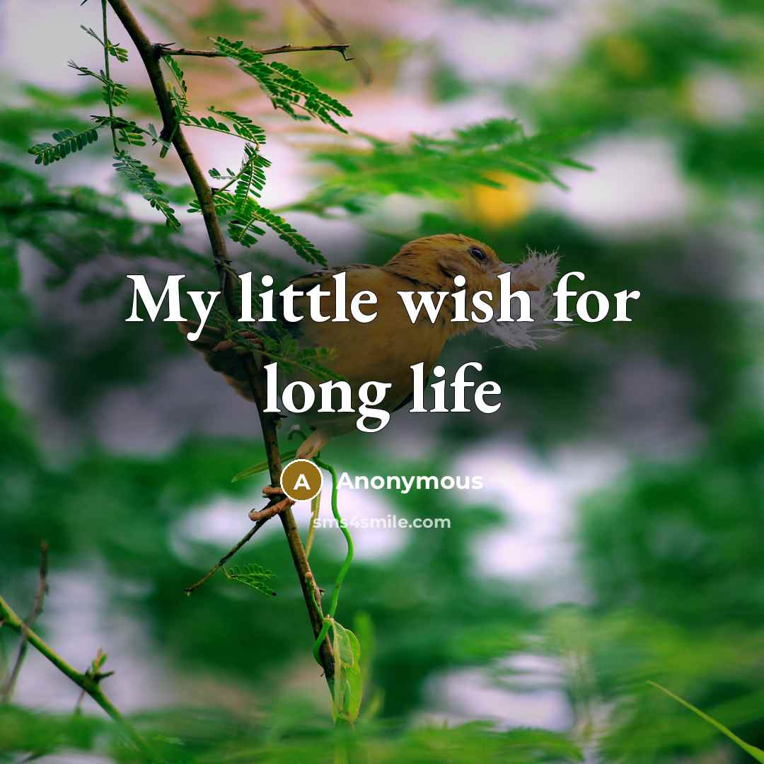“My little wish for long life” quote by Anonymous
