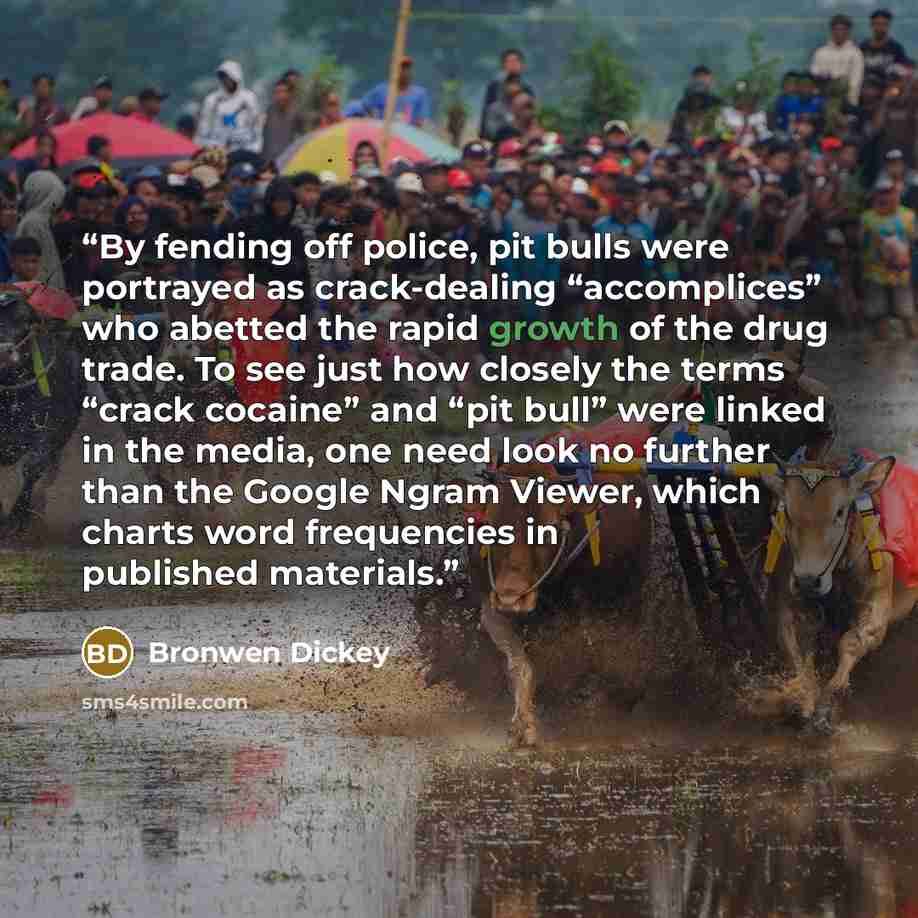 “By fending off police, pit bulls were portrayed as crack-dealing “accomplices” who abetted the rapid growth of the drug trade. To see just how closely the terms “crack cocaine” and “pit bull” were linked in the media, one need look no further than the Google Ngram Viewer, which charts word…” quote by Bronwen Dickey