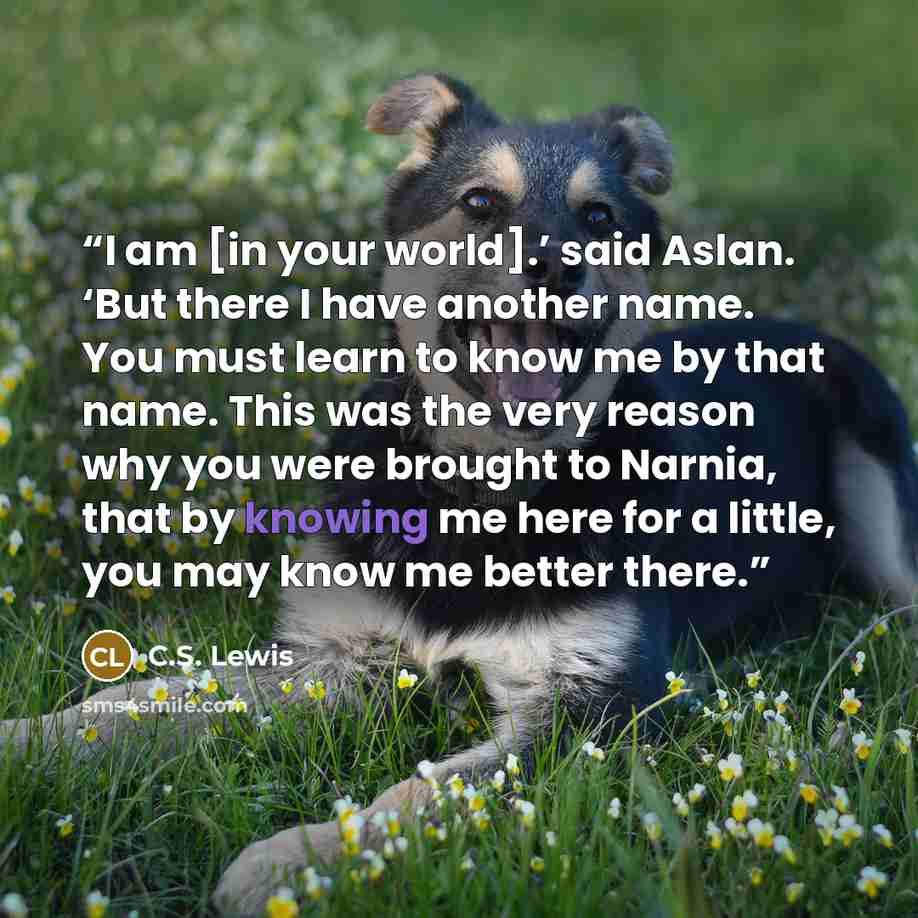 “I am [in your world].’ said Aslan. ‘But there I have another name. You must learn to know me by that name. This was the very reason why you were brought to Narnia, that by knowing me here for a little, you may know me better there.” quote by C.S. Lewis