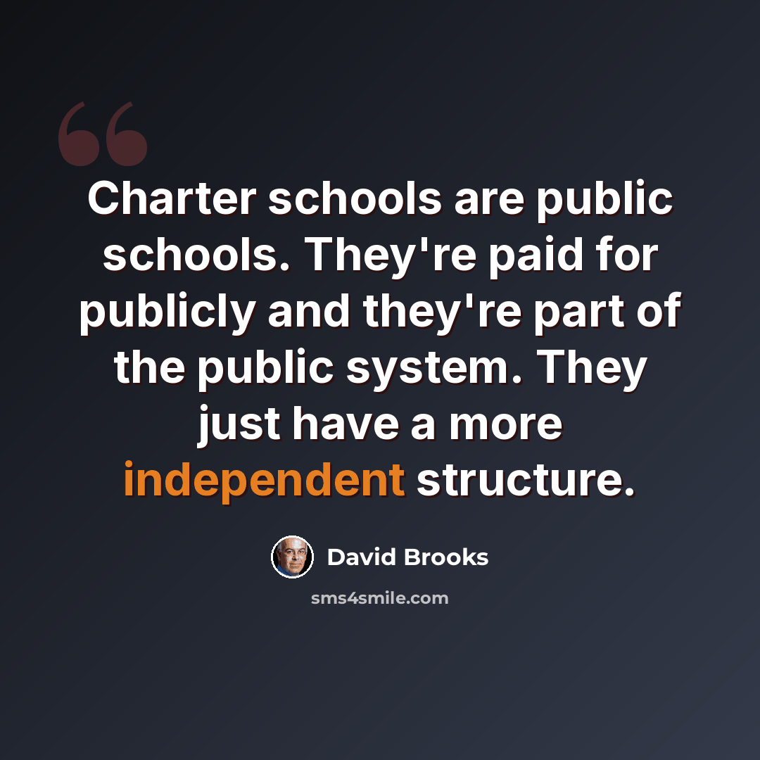 “Charter schools are public schools. They're paid for publicly and they're part of the public system. They just have a more independent structure.” quote by David Brooks