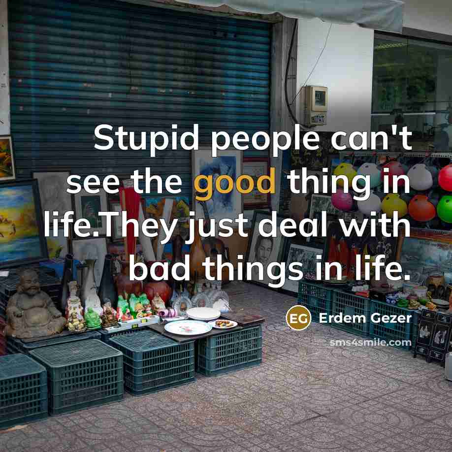 “Stupid people can't see the good thing in life.They just deal with bad things in life.” quote by Erdem Gezer