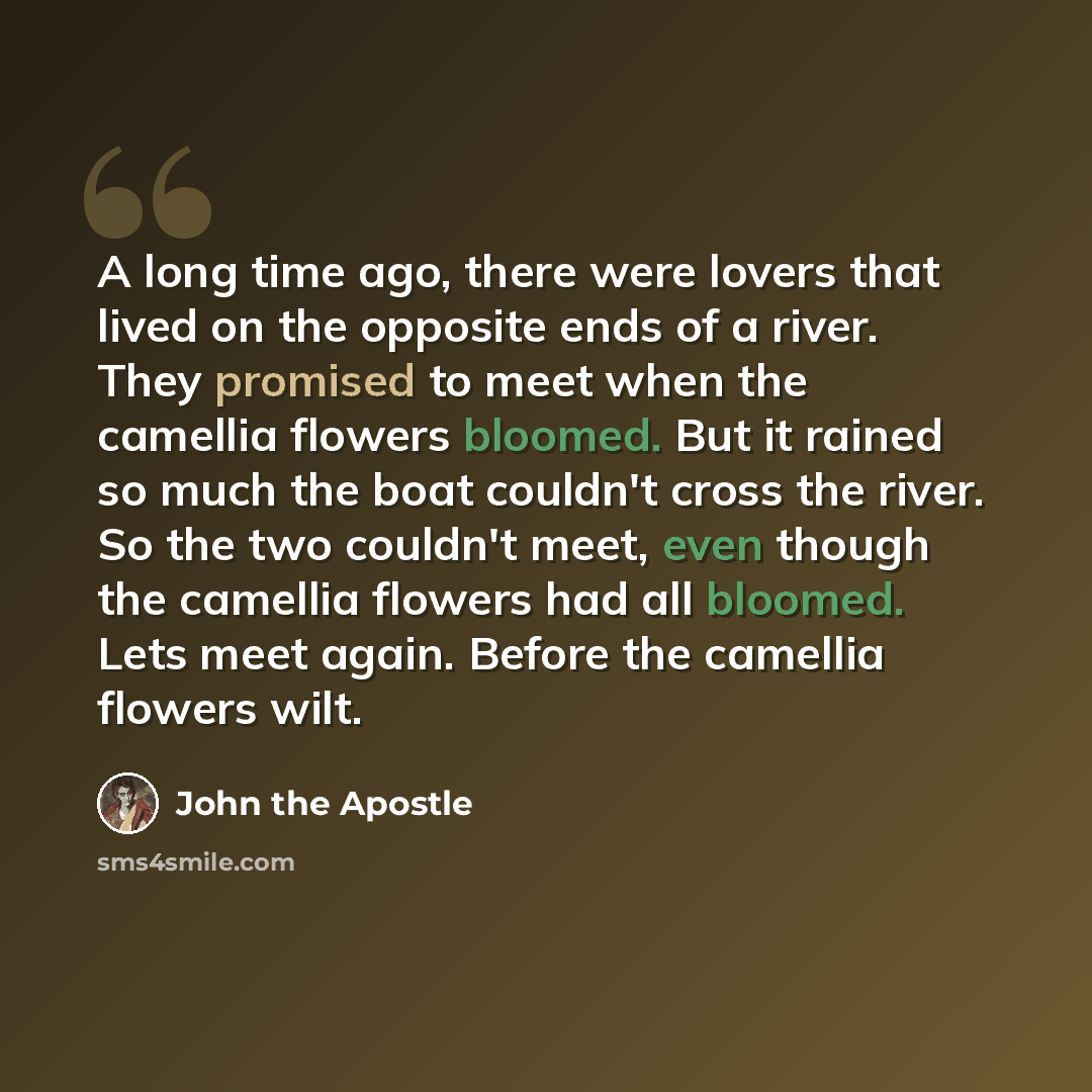 “A long time ago, there were lovers that lived on the opposite ends of a river. They promised to meet when the camellia flowers bloomed. But it rained so much the boat couldn't cross the river. So the two couldn't meet, even though the camellia flowers had all bloomed. Lets meet again. Before the…” quote by John the Apostle