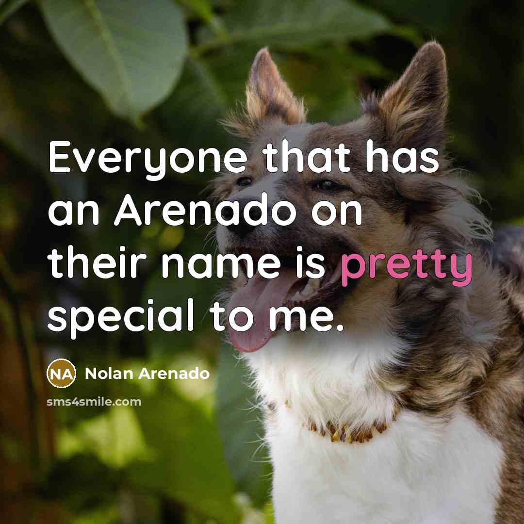 “Everyone that has an Arenado on their name is pretty special to me.” quote by Nolan Arenado