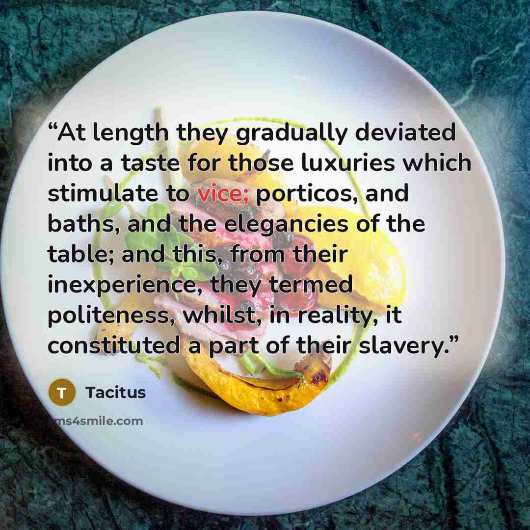 “At length they gradually deviated into a taste for those luxuries which stimulate to vice; porticos, and baths, and the elegancies of the table; and this, from their inexperience, they termed politeness, whilst, in reality, it constituted a part of their slavery.” quote by Tacitus