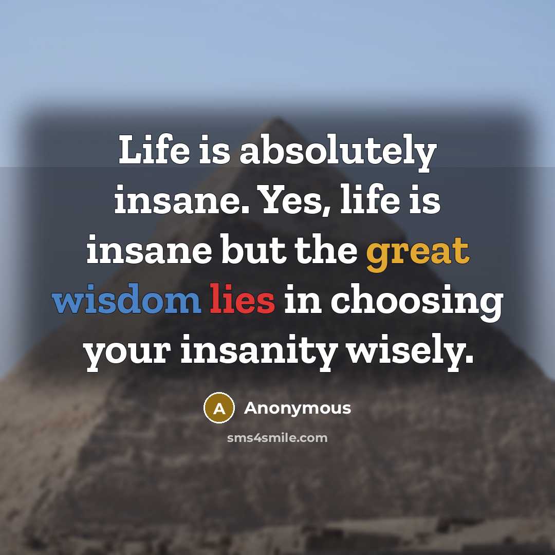 “Life is absolutely insane. Yes, life is insane but the great wisdom lies in choosing your insanity wisely.” quote by Anonymous