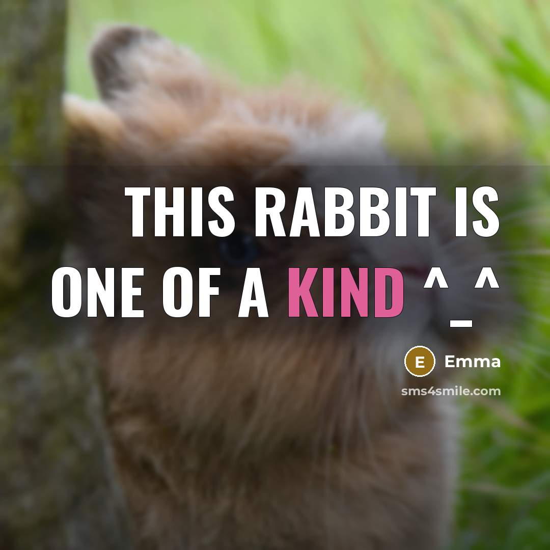 “THIS RABBIT IS ONE OF A KIND ^_^” quote by Emma