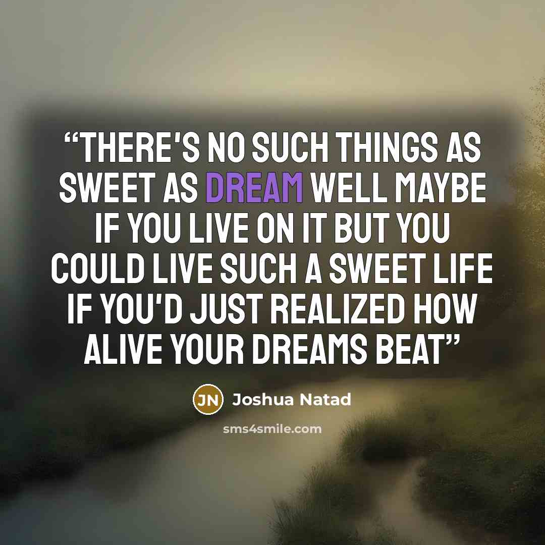 “There's no such things as sweet as dream Well maybe if you live on it But you could live such a sweet life If you'd just realized how alive your dreams beat” quote by Joshua Natad