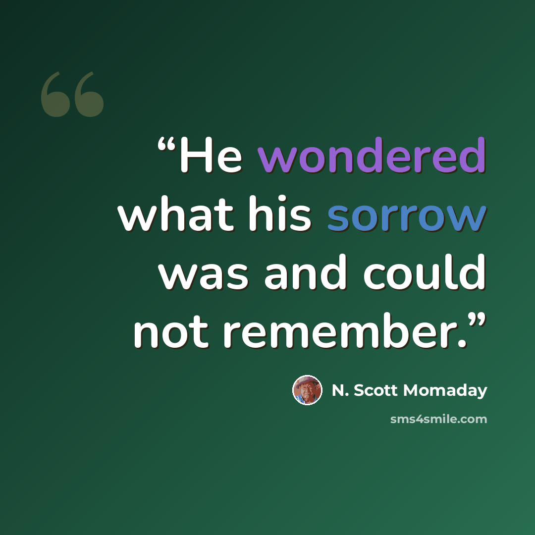 “He wondered what his sorrow was and could not remember.” quote by N. Scott Momaday