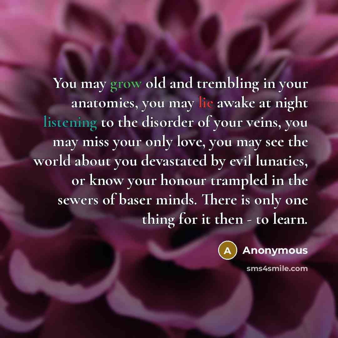 “You may grow old and trembling in your anatomies, you may lie awake at night listening to the disorder of your veins, you may miss your only love, you may see the world about you devastated by evil lunatics, or know your honour trampled in the sewers of baser minds. There is only one thing for it…” quote by Anonymous