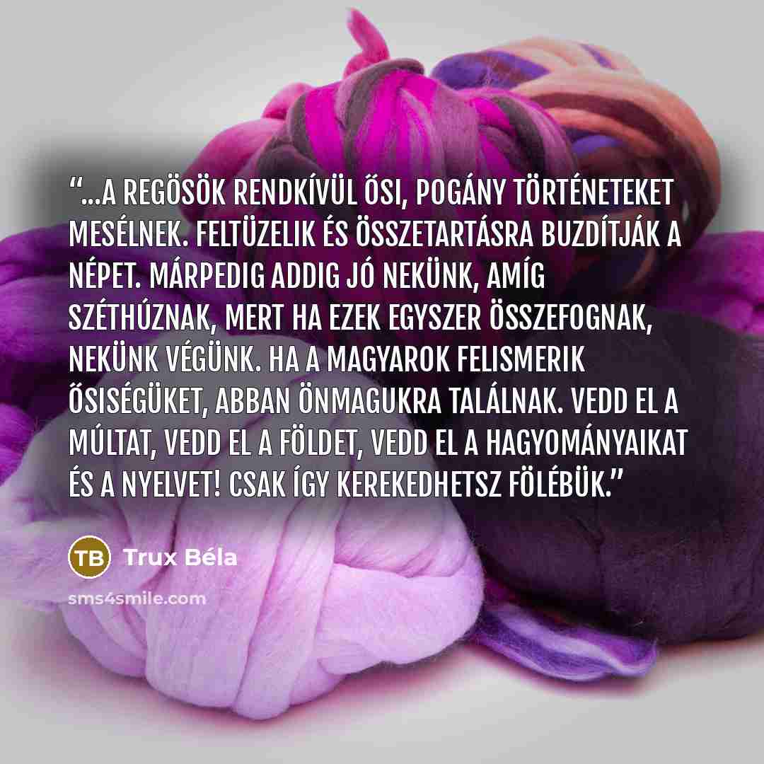“...a regösök rendkívül ősi, pogány történeteket mesélnek. Feltüzelik és összetartásra buzdítják a népet. Márpedig addig jó nekünk, amíg széthúznak, mert ha ezek egyszer összefognak, nekünk végünk. Ha a magyarok felismerik ősiségüket, abban önmagukra találnak. Vedd el a múltat, vedd el a földet…” quote by Trux Béla