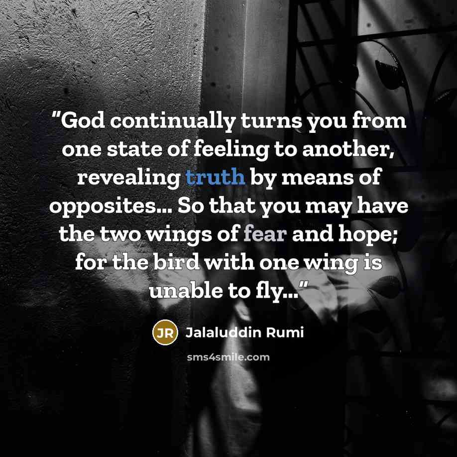 “God continually turns you from one state of feeling to another, revealing truth by means of opposites… So that you may have the two wings of fear and hope; for the bird with one wing is unable to fly…” quote by Jalaluddin Rumi