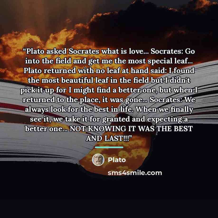 “Plato asked Socrates what is love... Socrates: Go into the field and get me the most special leaf... Plato returned with no leaf at hand said: I found the most beautiful leaf in the field but I didn't pick it up for I might find a better one, but when I returned to the place, it was gone…” quote by Plato