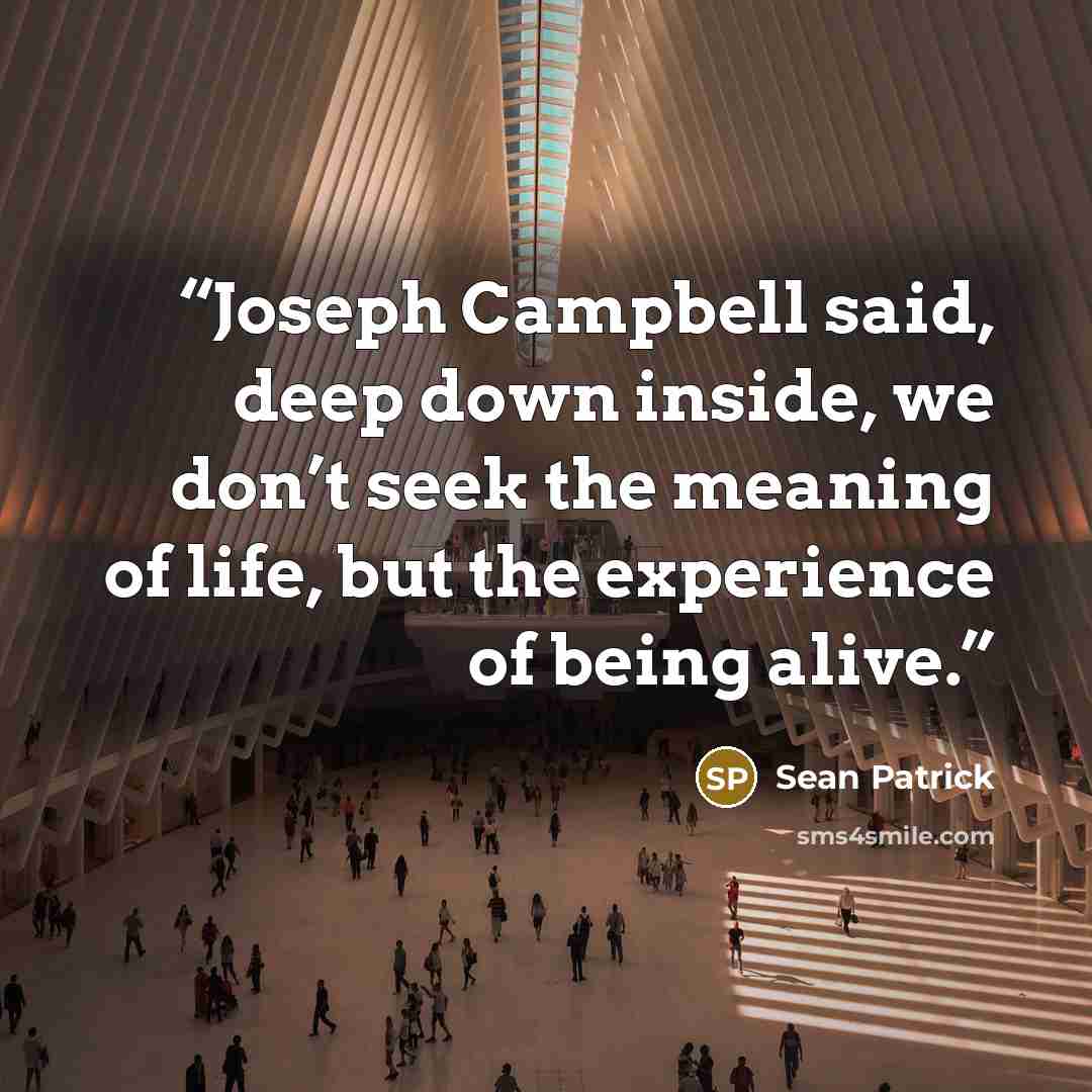“Joseph Campbell said, deep down inside, we don’t seek the meaning of life, but the experience of being alive.” quote by Sean Patrick