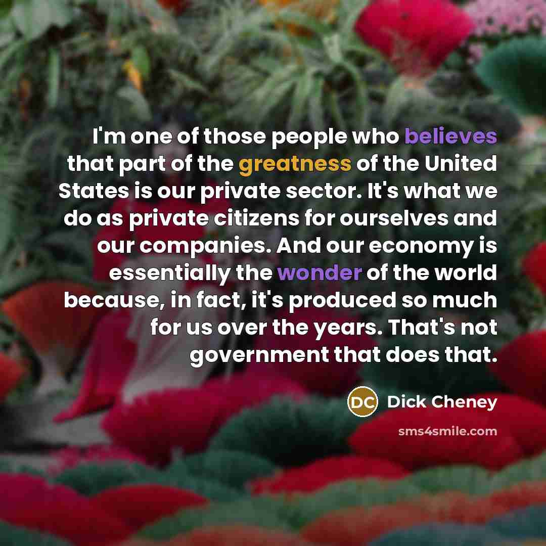 “I'm one of those people who believes that part of the greatness of the United States is our private sector. It's what we do as private citizens for ourselves and our companies. And our economy is essentially the wonder of the world because, in fact, it's produced so much for us over the years…” quote by Dick Cheney